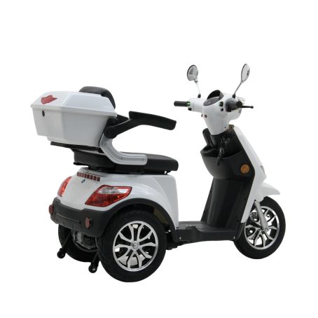 SE-3  (CE) - Image 5